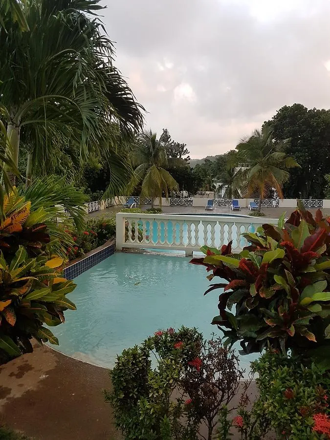 Skycastle Oasis Lägenhet Ocho Rios