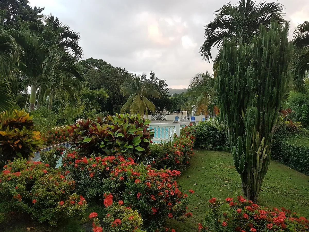 Skycastle Oasis Lägenhet Ocho Rios