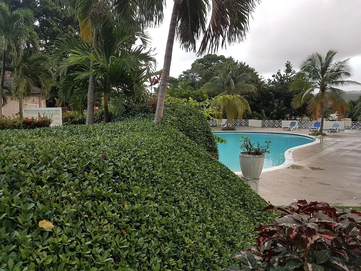 Skycastle Oasis Lägenhet Ocho Rios